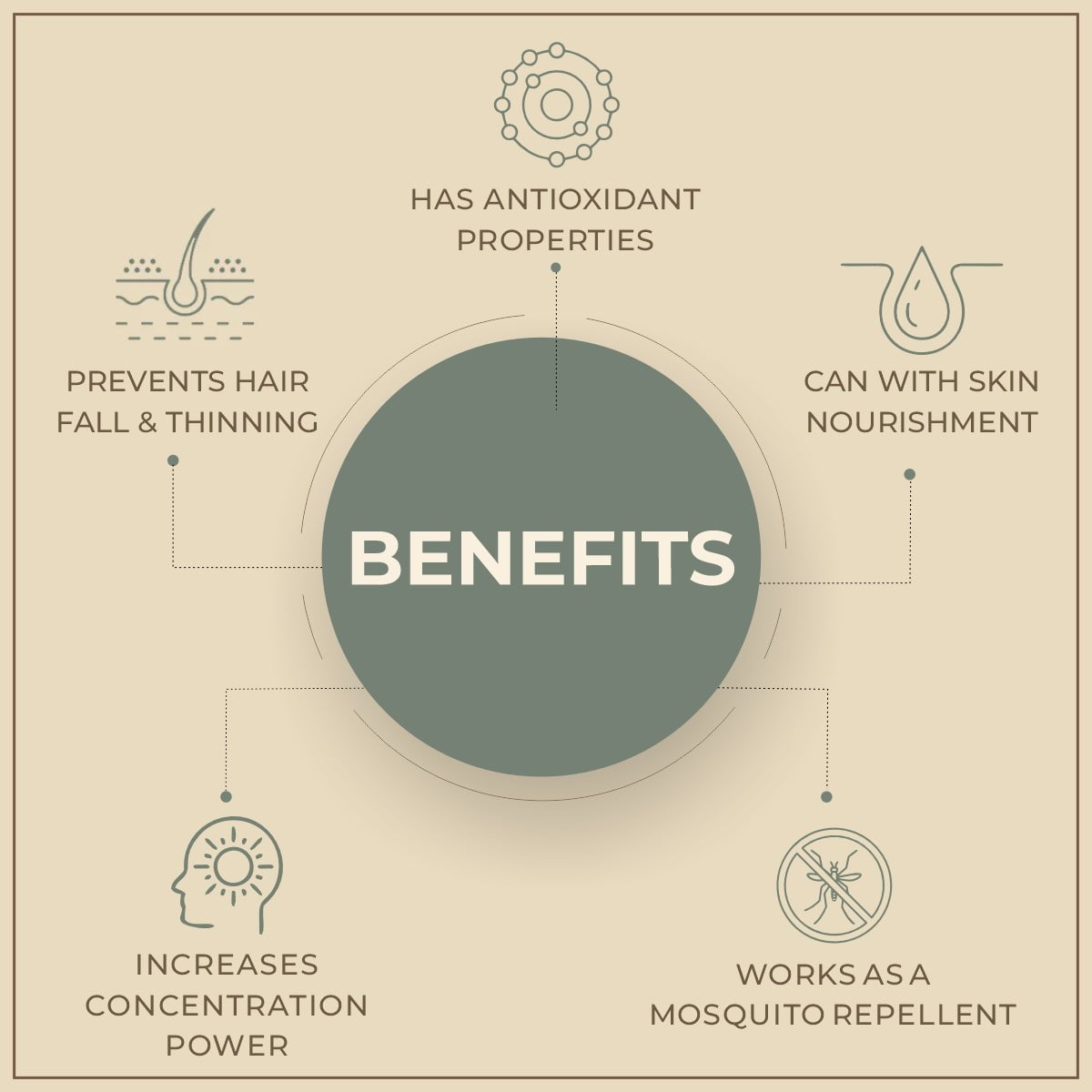 Salvia Natural Essential Oils Celery Seed Oil Salvia Natural Essential Oils Celery Seed Oil